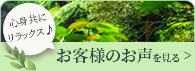 お客様のお声